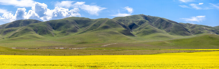 Obraz premium landscape of Qing-hai lake China