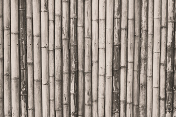 Fototapeta premium Black and White : Old Brown bamboo fence background
