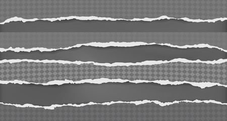 Set of torn, ripped, squared paper strips with soft shadow are on black background. Vector template illustration