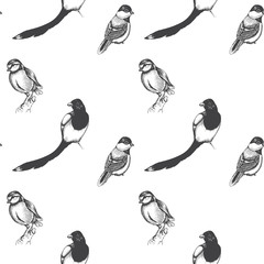 Sketch hand drawn pattern with tit, sparrow, heron. Animals illustration birds.