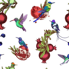 Vector illustration sketch pattern - card with pomegranate and hummingbird.