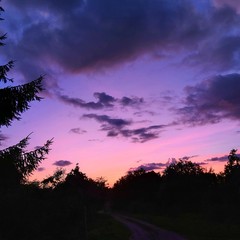 Sunset in the countryside