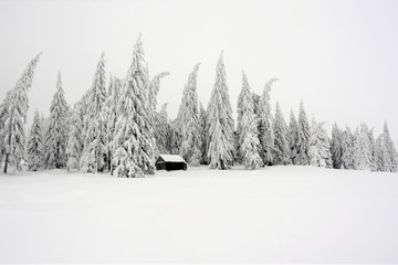a cottage near the forest in winter