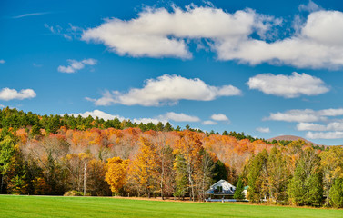 Obraz premium Autumn landscape with house in forest in Vermont, USA.