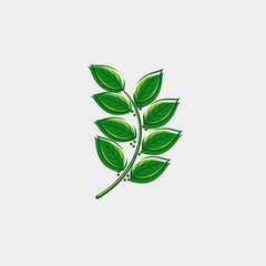 Bay leaf set. Collection icon tropical leaves. Vector