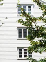 Three windows on a white wooden facade a little fenced by a tree branch with leaves. Three floors with windows on a white facade