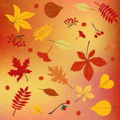 Fototapeta na wymiar Vector illustration Autumn Fall leaves, seasonal berries, fruit, vegetables, pumpkin. Thanksgiving design. Template for placard, greeting postcard, design, flyer, presentation, web banner template