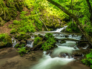 Obraz premium Piękny wodospad w lesie parku narodowego Dilijan, Armenia