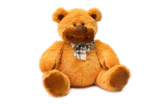 Image of brown toy teddy bear sitting at white isolated background.
