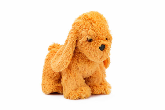 Image of brown funny toy dog sitting at isolated white background.
