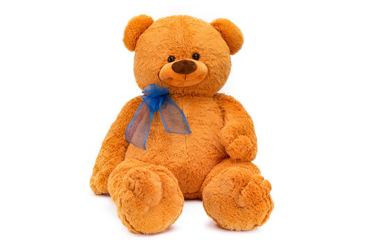Image of brown toy teddy bear sitting at white isolated background.