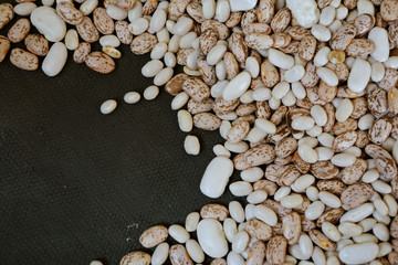 fresh beans on background in studio