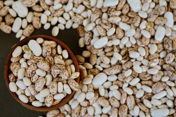 fresh beans on background in studio
