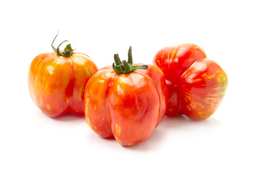 ストライプドキャバーン