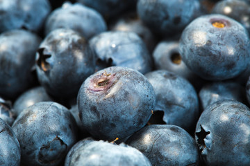 Macro of raw blueberries after harvest