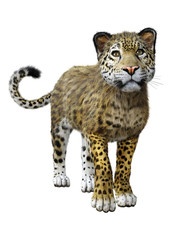 3D Rendering Big Cat Jaguar on White