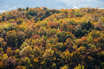 Fototapeta premium Beijing Mangshan Park Autumn