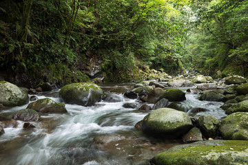 石の間を流れる奥十曽渓谷の渓流