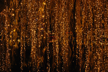Fairy lights in a tree, inside Tivoli , Copenhagen.