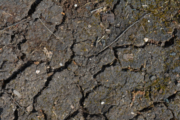 Texture of dry soil with cracks without trees and plants.
