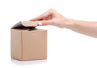 Brown box in hand on white background isolation