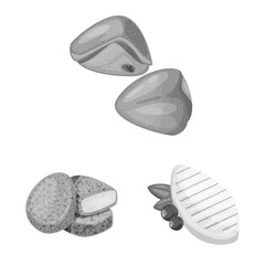 Vector illustration of cuisine and bird symbol. Set of cuisine and poultry stock symbol for web.