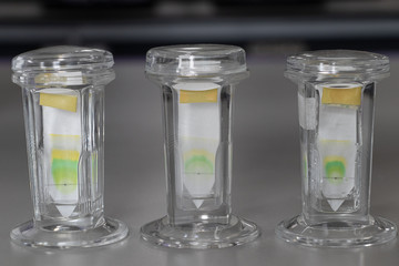 Study of Chromatography is used to separate components of a plant. 