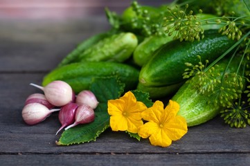 pickling pickling cucumbers on a wooden table