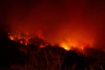 Behangcirkel Amazon bosbrand ramp probleem. Vuur verbrandt bomen in de berg & 39 s nachts. © MemoryMan