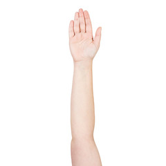 Obraz premium Woman hand showing open palm gesture