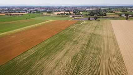 Drone aerial view of organic farming fields of lavender, wheat and potatoes