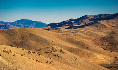 Fototapeta na wymiar Landscape of Gobi Desert in Xinjiang