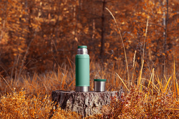 Green thermos with a cup on a stump in the autumn forest. Forest background blurred