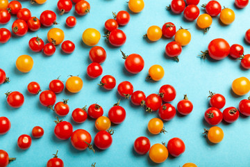 Naklejka na ściany i meble Red and yellow cherry tomatoes on blue background. Fresh bright organic vegetables.