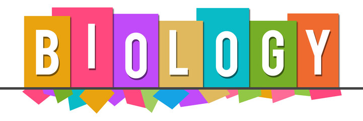 Biology Colorful Random Shapes Top Boxes 