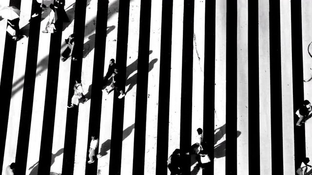 Ginza, Tokyo, Japan 4K Monochrome High Angle View Of Pedestrian Crowd People Man And Woman Walking Crossing Street Crosswalk With Shadow On The Road In Afternoon Summer Day.