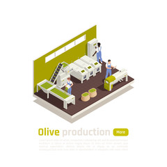 Olive Production Isometric Composition 