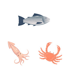 Naklejka premium Vector illustration of food and sea symbol. Collection of food and healthy stock symbol for web.