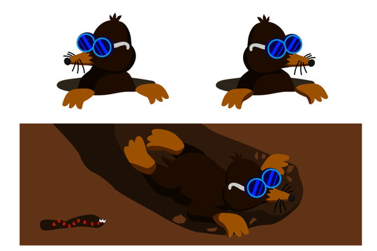 モグラ の画像 11 413 件の Stock 写真 ベクターおよびビデオ Adobe Stock