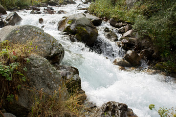 waterfall in forest