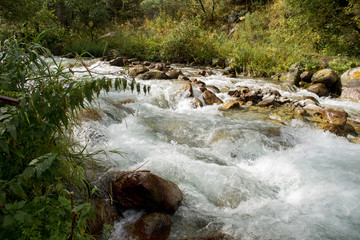 waterfall in forest