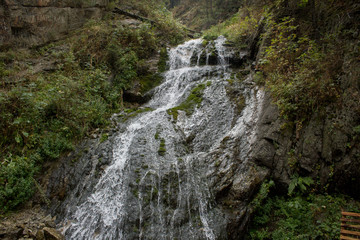 waterfall in forest