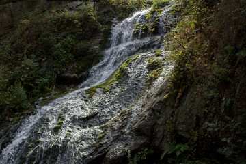 waterfall in forest