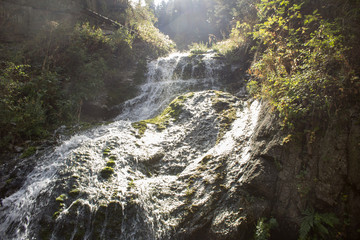 waterfall in forest