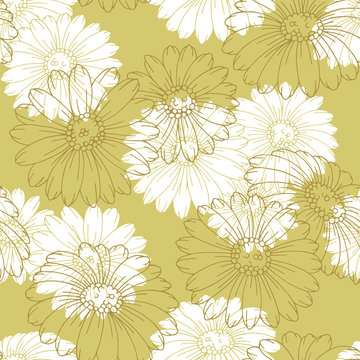 Chamomile flower graphic color seamless pattern background sketch illustration vector