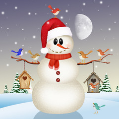 bird house on snowman in winter landscape