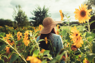 Walk among in the field among sunflowers - Powered by Adobe