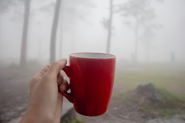 Obraz premium Woman holding red mug of coffee with pine tree forest in the mist and rain background.