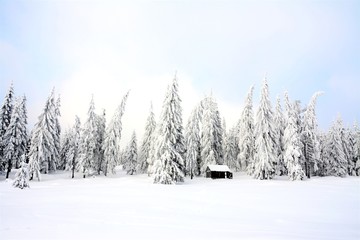 a beautiful winter landscape with a cottage near the pine forest covered with snow