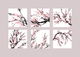 Cherry blossom Sakura bloom template